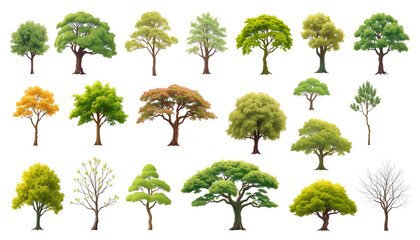 Tree Package A collection of various trees for architects to find ideas from here.