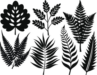 Naklejka premium Vector Silhouette Summer Leaf Icons Set of Fern on White Background