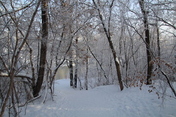Winter Trail, Gold Bar Park, Edmonton, Alberta
