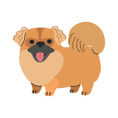 Pekingese icon clipart avatar logotype isolated illustration