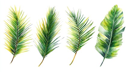 Watercolor painting of four tropical palm leaves isolated on white background.