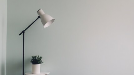 A white floor lamp with a black arm and a white plant in a pot on a white side table against a light green wall.