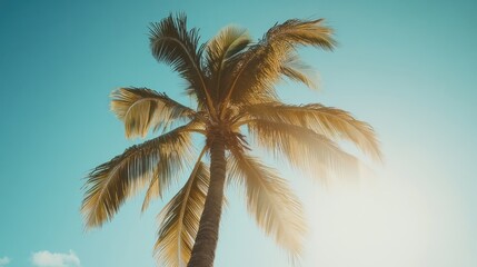 A tall palm tree with lush green leaves sways gently in the breeze against a bright blue sky. The sun shines brightly through the palm leaves, creating a warm and inviting atmosphere.