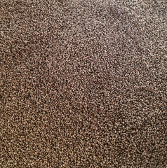 It is a collection of harvested perilla seeds.