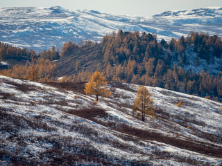 Foothills in late autumn and early winter.