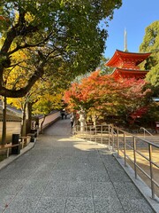 japanese temple in autumn
