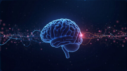 3d rendered illustration of human brain
