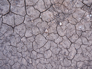 Dry and cracked earth background. Global warming, climate change concept