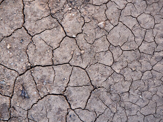Dry and cracked earth background. Global warming, climate change concept