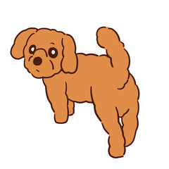 見返り美人なポーズしてる我が家の愛犬ショコラ