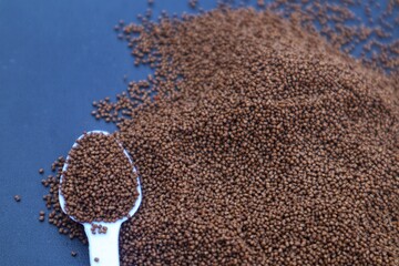 Ornamental Betta fish pellets or food isolated on a dark background, with close view.