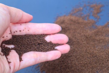 Woman's hand holding pellets or ornamental betta fish food isolated on a dark background, close-up view.