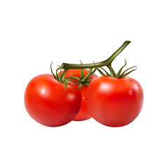 Realistic Tomatoes Still on the Vine