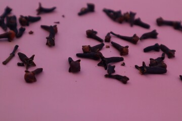 Cloves (Syzygium aromaticum L, isolated on pink background with close up view.