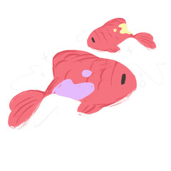 fish