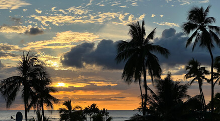 A typical sunset in Oahu Honolulu, which is always stunning! Yellows, oranges, navy blues, clouds, ocean and silhouetted palm trees during golden hour. 