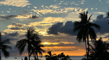 Obraz premium A typical sunset in Oahu Honolulu, which is always stunning! Yellows, oranges, navy blues, clouds, ocean and silhouetted palm trees during golden hour. 