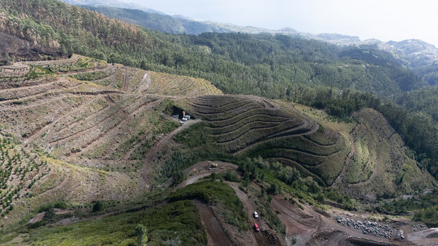 Aerial View of Verdant Terraced Hills in Rural Landscape