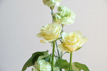 薔薇とカーネーション