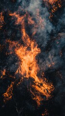 Wildfire flames and smoke on dark ground