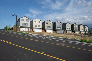 Single-family houses on small lots in a large suburban community.