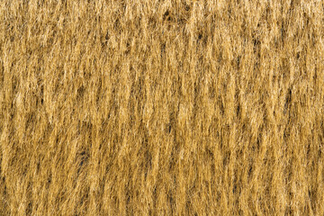 Hay background. Haystacks texture,background,  Straw bale harvesting.