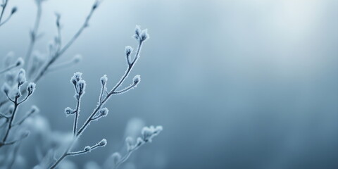 Winter wallpaper wallpapers background backgrounds with branch, ice, frost and bokeh