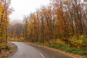 Asphalt road in the autumn forest.