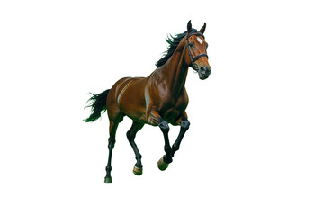 Obraz premium Horse running in open field, background. PNG transparent.