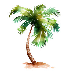 Palm Tree watercolor art isolated on white background. Tropical green Hawaiian flora, summer palm watercolour hand drawn painting for greeting card, travel, vacation or holidays designs or prints