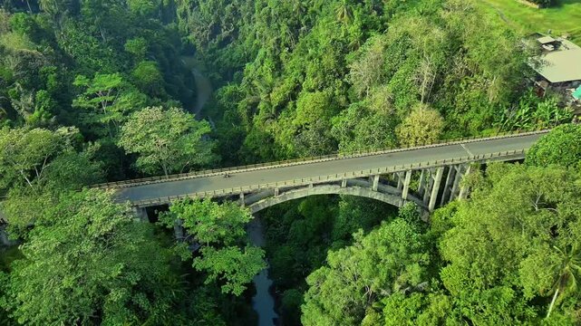 Tanah Uwuk  Bridge in forest, Badung Bali Indonesia