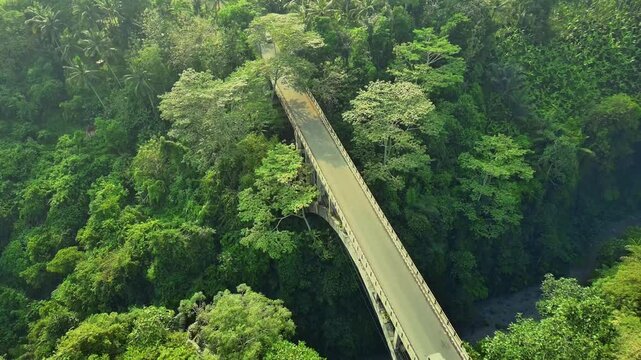 Tanah Uwuk  Bridge in forest, Badung Bali Indonesia