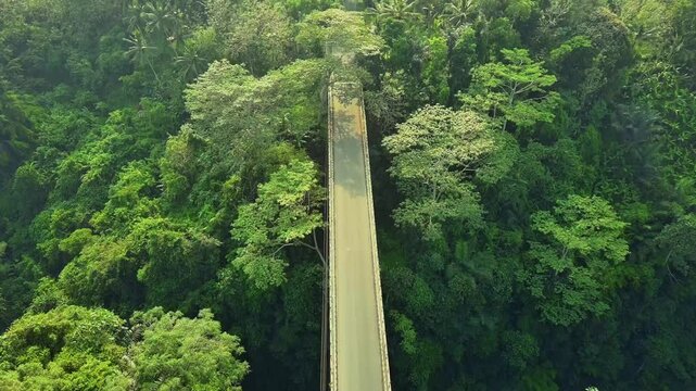 Tanah Uwuk  Bridge in forest, Badung Bali Indonesia