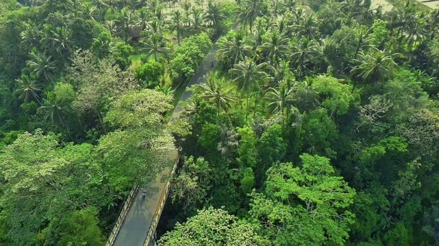 Tanah Uwuk  Bridge in forest, Badung Bali Indonesia