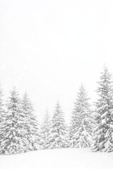 Naklejka premium The choink & zim are used as tools in the project