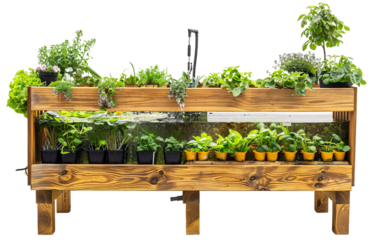 Learning with Aquaponics System on white background
