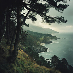 Obraz premium A Landscape Photo taken on a mountainside overlooking the Scottish Coast with a Pine Forest.