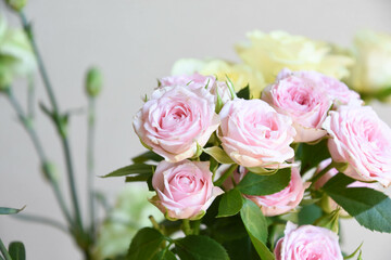 ピンクと黄色のばら