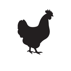 chicken black logo Vector black silhouette of a chicken on a white background.