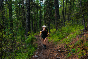 a tourist girl with a backpack walks through a mountain forest in Altai