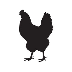 chicken black logo Vector black silhouette of a chicken on a white background.