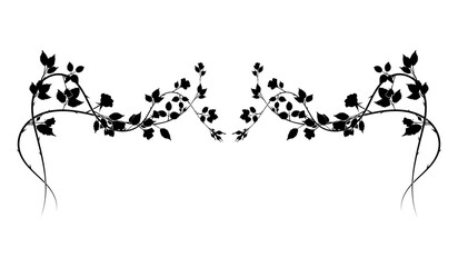 beautiful long element of rose interlacing thorns