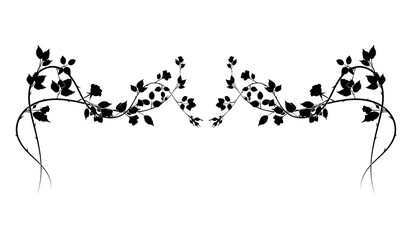 beautiful long element of rose interlacing thorns