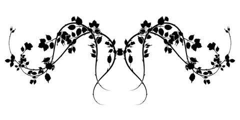 gorgeous pattern of roses interlaced with thorns