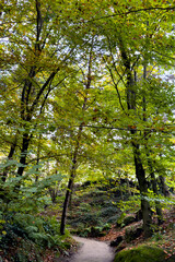 世界周遊　パリ16区アルバートカーン美術館