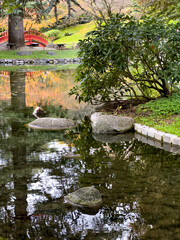 Naklejka premium 世界周遊 パリ16区アルバートカーン美術館