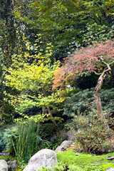 世界周遊　パリ16区アルバートカーン美術館