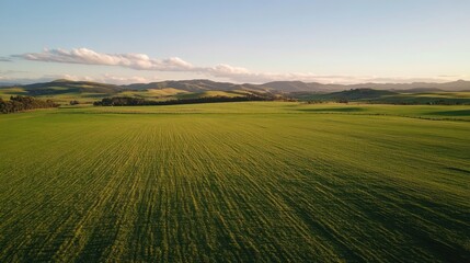 Obraz premium Vast Green Field Under Clear Sky with Rolling Hills in the Distance