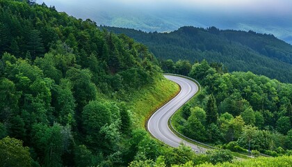 The Green Maze: A Roadcarved Through the Woods