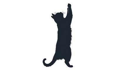 Silhouette of a Cat on a White Background